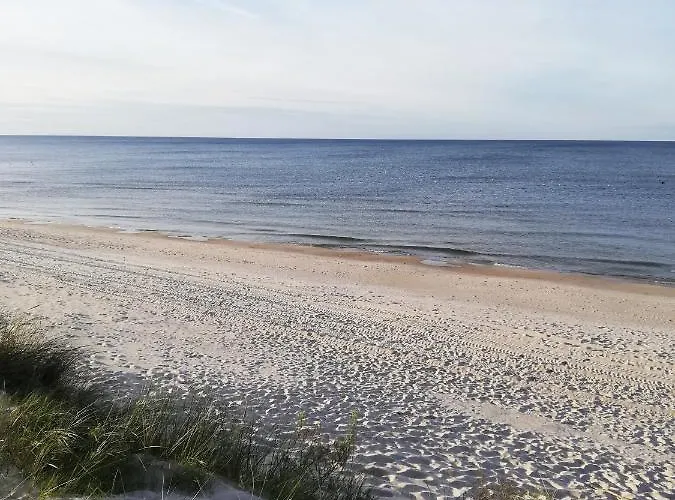 Shellter Nadmorski *